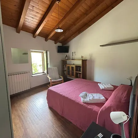 公寓 Vallicella House 法纳诺