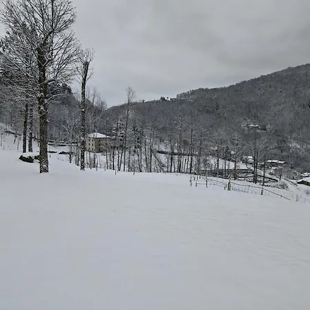 Apartamento Vallicella House *