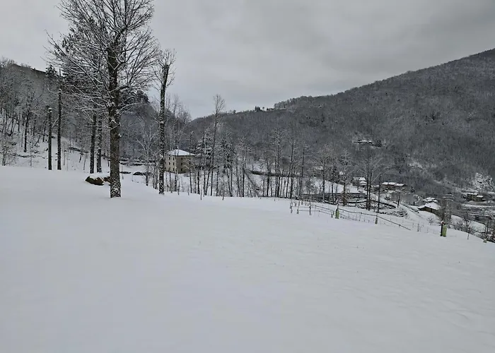 Διαμέρισμα Vallicella House *